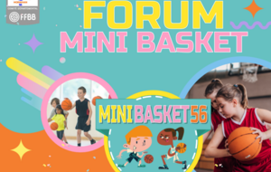 Forum mini basket
